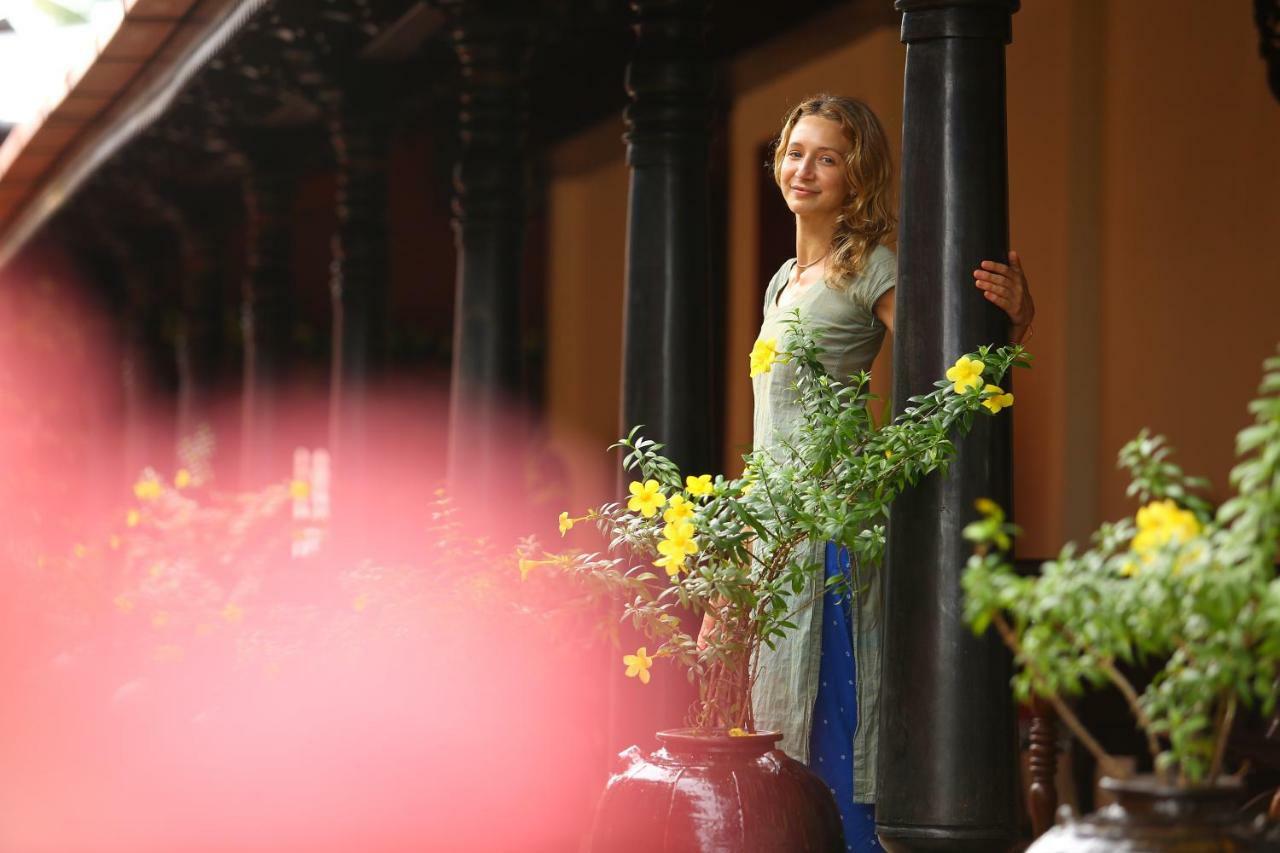Ginger House Museum होटल
